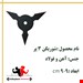 شوریکن سه پر