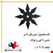 شوریکن هشت پر